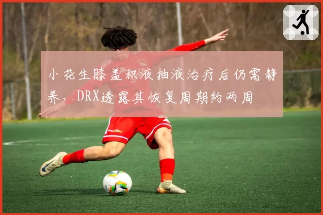 小花生膝盖积液抽液治疗后仍需静养，DRX透露其恢复周期约两周