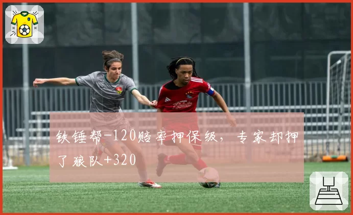 铁锤帮-120赔率押保级，专家却押了狼队+320