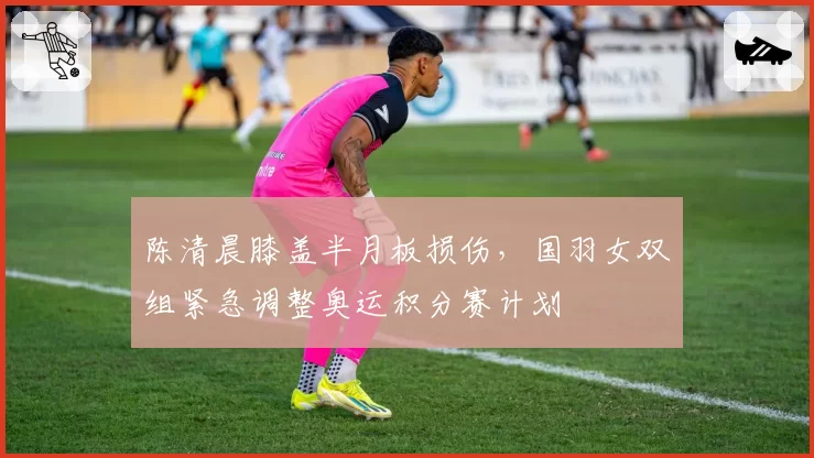 陈清晨膝盖半月板损伤，国羽女双组紧急调整奥运积分赛计划