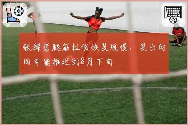 张稀哲腿筋拉伤恢复缓慢，复出时间可能推迟到8月下旬