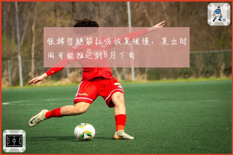 张稀哲腿筋拉伤恢复缓慢，复出时间可能推迟到8月下旬